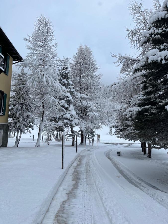 Hotel Fex Sils Maria Dış mekan fotoğraf